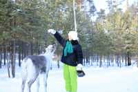 漠河三天兩晚極致尋北攻略：赴一場冰雪與星空的約會