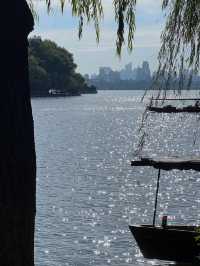 西湖隱世古樹治癒指南