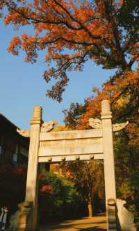 南京靈谷寺賞秋秘境