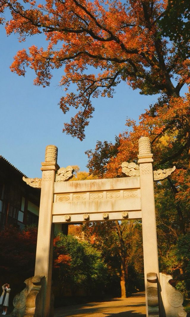 南京靈谷寺賞秋秘境