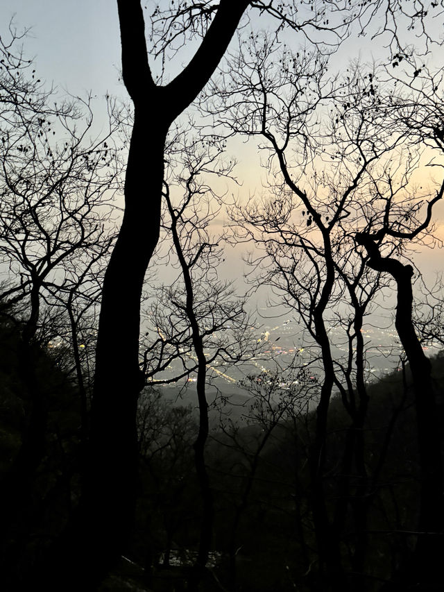 逃離鄭州天花板!登封24小時治癒之旅 逃離鄭州天花板!登封24小時治癒之旅