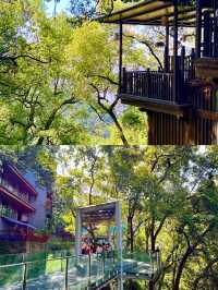 重慶秋冬citywalk天花板黃葛古道全下坡攻略！