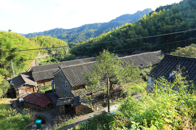 很有意思的村莊，豬頭嶺村？消失的世外桃源