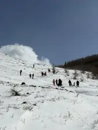 不是北歐，勝似北歐！雪後樺皮嶺