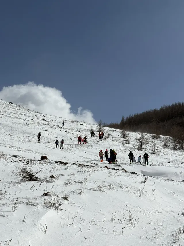不是北歐，勝似北歐！雪後樺皮嶺