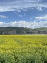 新疆伊犁8天暴走行程|自由行旅遊攻略