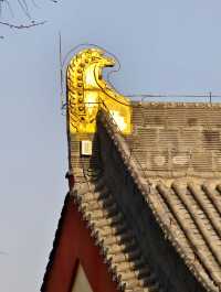 禪意古寺打卡攻略