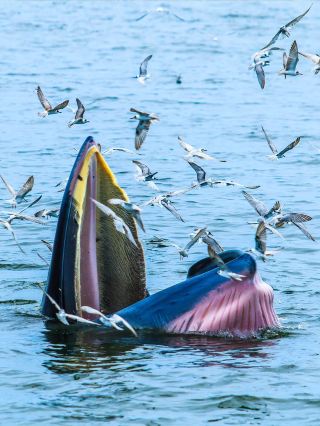 Life advice! From November to March, you must take your kids to Southwest Guangxi