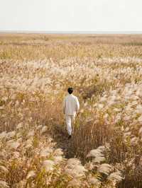 日出封神！南匯東灘濕地無痕遊玩+福利攻略