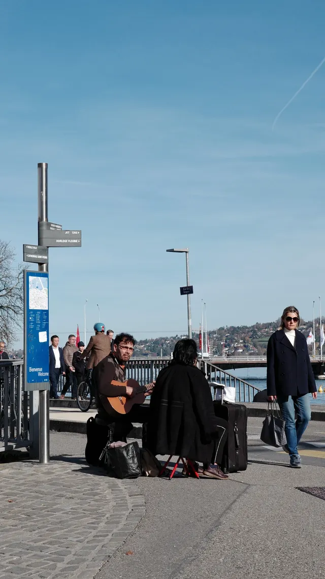 日內瓦湖畔看鵝出片還得靠中國同胞拯救