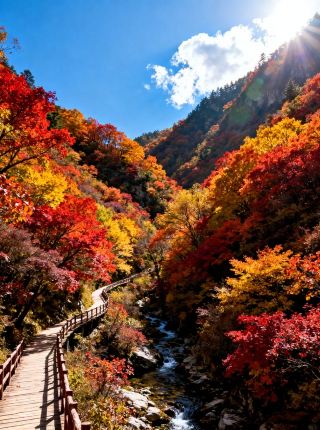 Fangxian Yeren Valley Autumn/Winter Guide: Primitive Wonderland Hides Wild Fun, Autumn Colors Meet Ice and Snow for Super Play!
