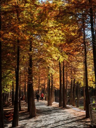 皖南318ドライブで伝説に！