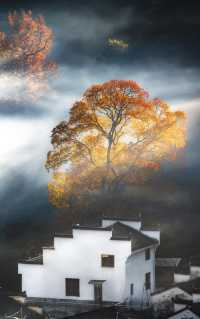 婺源石城秋日行攝全攻略｜沉浸於紅葉晨霧的水墨畫境