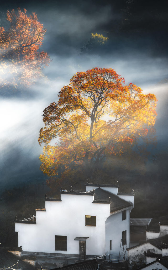 婺源石城秋日行攝全攻略｜沉浸於紅葉晨霧的水墨畫境