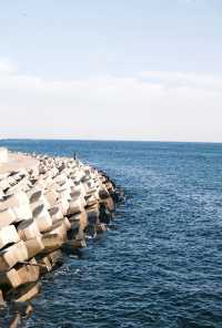 大連12月旅遊全攻略|雪裡裹浪的冬日童話