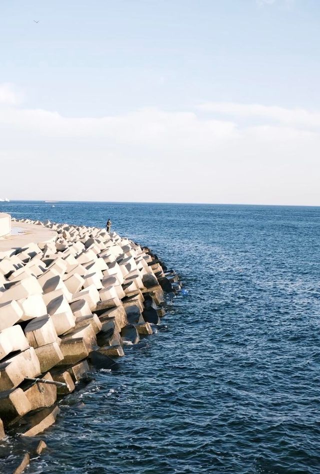 大連12月旅遊全攻略|雪裡裹浪的冬日童話 大連12月旅遊全攻略|雪裡裹浪的冬日童話