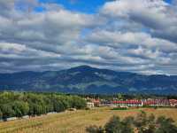 風從這裡入京城