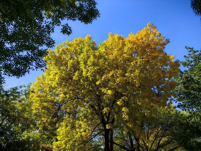 天津賞秋攻略｜這些地方才是秋天該有的樣子