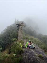 江浙滬週末徒步天花板絕美竹林秘境路線公開！