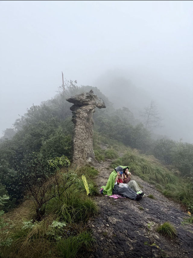 江浙滬週末徒步天花板絕美竹林秘境路線公開！