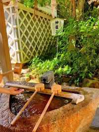 🔥999坐郵輪！5天4晚實探攻略來啦！