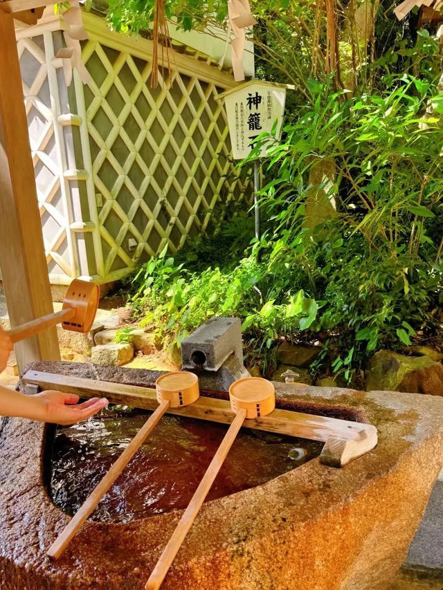 🔥999坐郵輪！5天4晚實探攻略來啦！