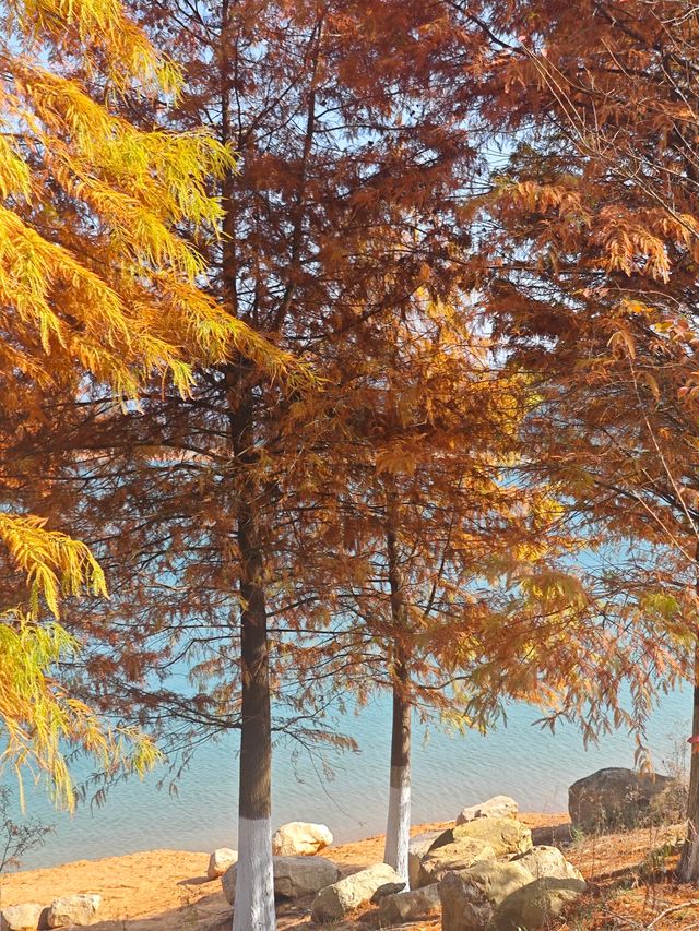 冬季來臨,白廊還值得來遊玩嗎? 冬季來臨,白廊還值得來遊玩嗎?