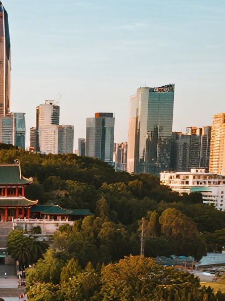 深圳蓮花山冬日親子遊！15分鐘登頂超全攻略