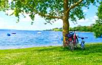 【預算100元內】崑山淀山湖一日遊攻略