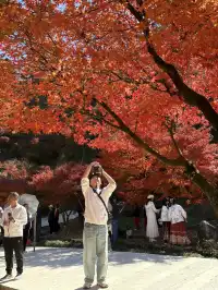 不是京都!實況無調色