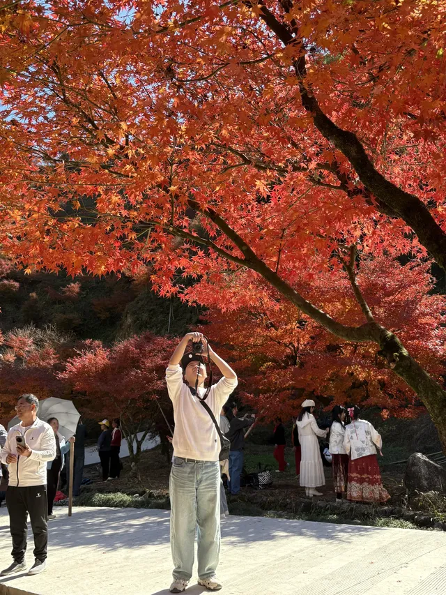 不是京都!實況無調色 不是京都!實況無調色