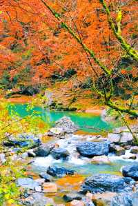 央視力推的秋日頂流成都周邊「中國紅葉第一山」