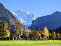 因特拉肯,愛在深秋