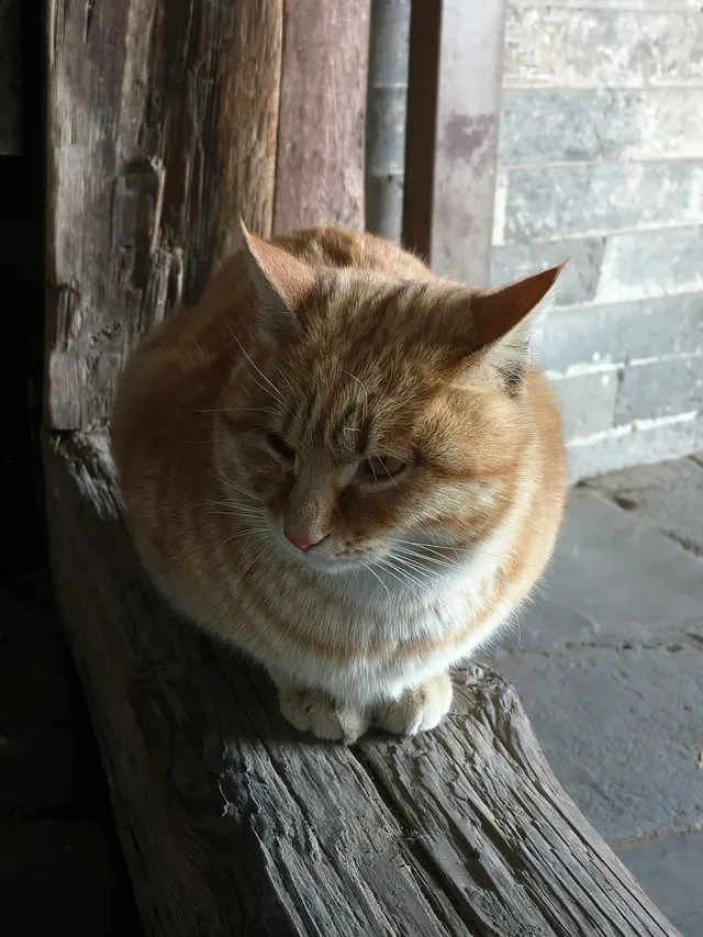 北京去大同三日之行（非特種兵版）