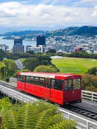 新西蘭12日遊冬天來這玩太值了