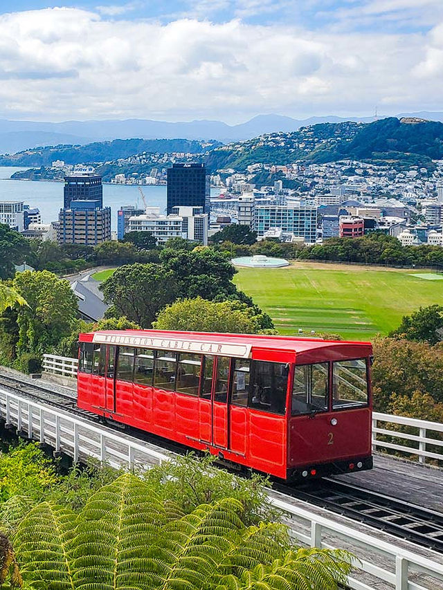 新西蘭12日遊冬天來這玩太值了 新西蘭12日遊冬天來這玩太值了