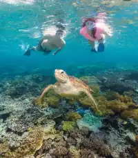 最後召集！聖誕新年大堡礁豪華4日含機票