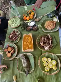 當一天“野孩子”｜鑽進了熱帶雨林