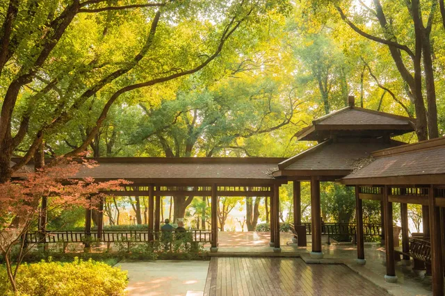 在武漢,週末不知道去哪兒玩,來東湖就對了 在武漢,週末不知道去哪兒玩,來東湖就對了