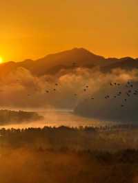 皖南川藏線核心住宿攻略:為什麼資深玩家都選擇在板橋村停留