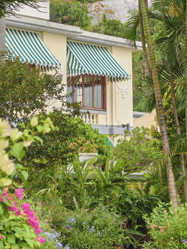 香港｜比起中環旺角，我更愛呢個小眾治癒嘅離島