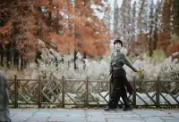 沉浸式吸氧治癒中山公園漫遊攻略