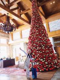 帶娃住進長白山凱悅!12月雪季遛娃天花板