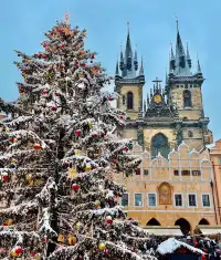 蜜朵帶你看｜夢幻浪漫的布拉格聖誕集市