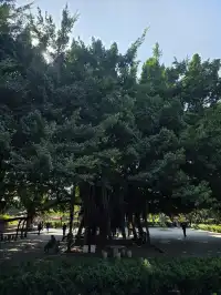 泉州，半城煙火半城仙