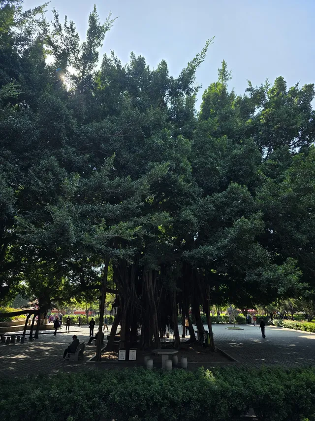 泉州，半城煙火半城仙