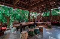 女生專屬西雙版納3天避冬全攻略25℃的溫柔誰能抵抗