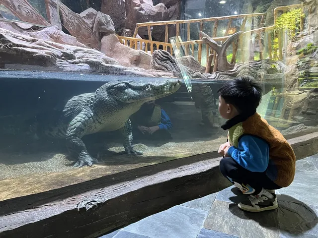 舟山-普陀山 還願遛娃之旅