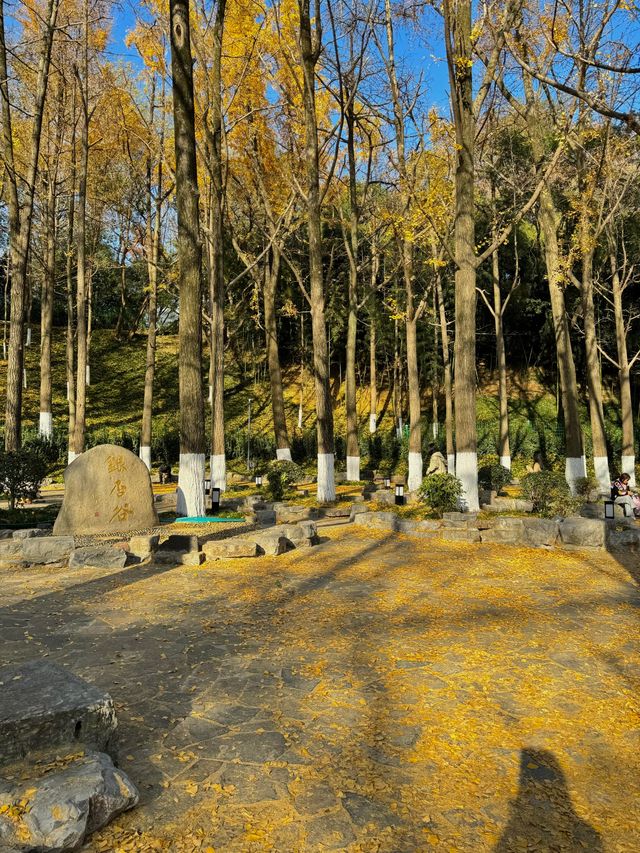 清涼山公園才是金陵賞秋天花板! 清涼山公園才是金陵賞秋天花板!