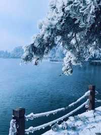 南方人看雪天花板!廬山雪景霧淞保姆級攻略